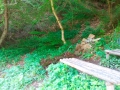 img_20150512_182304