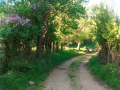 img_20150513_185728